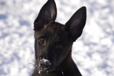 Grace of Saint John's