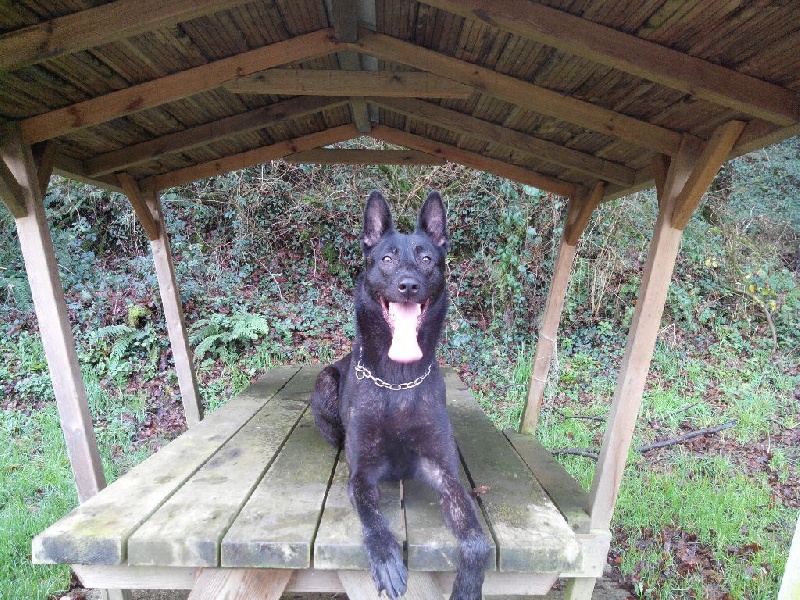 Mac Khalahann's H'avel