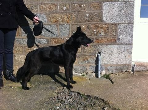 Grace of Saint John's