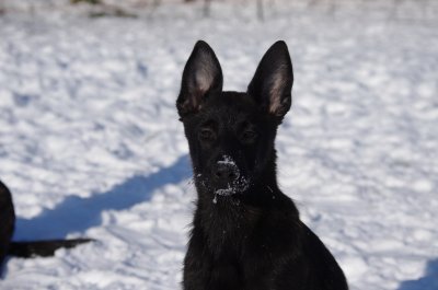 Grace of Saint John's