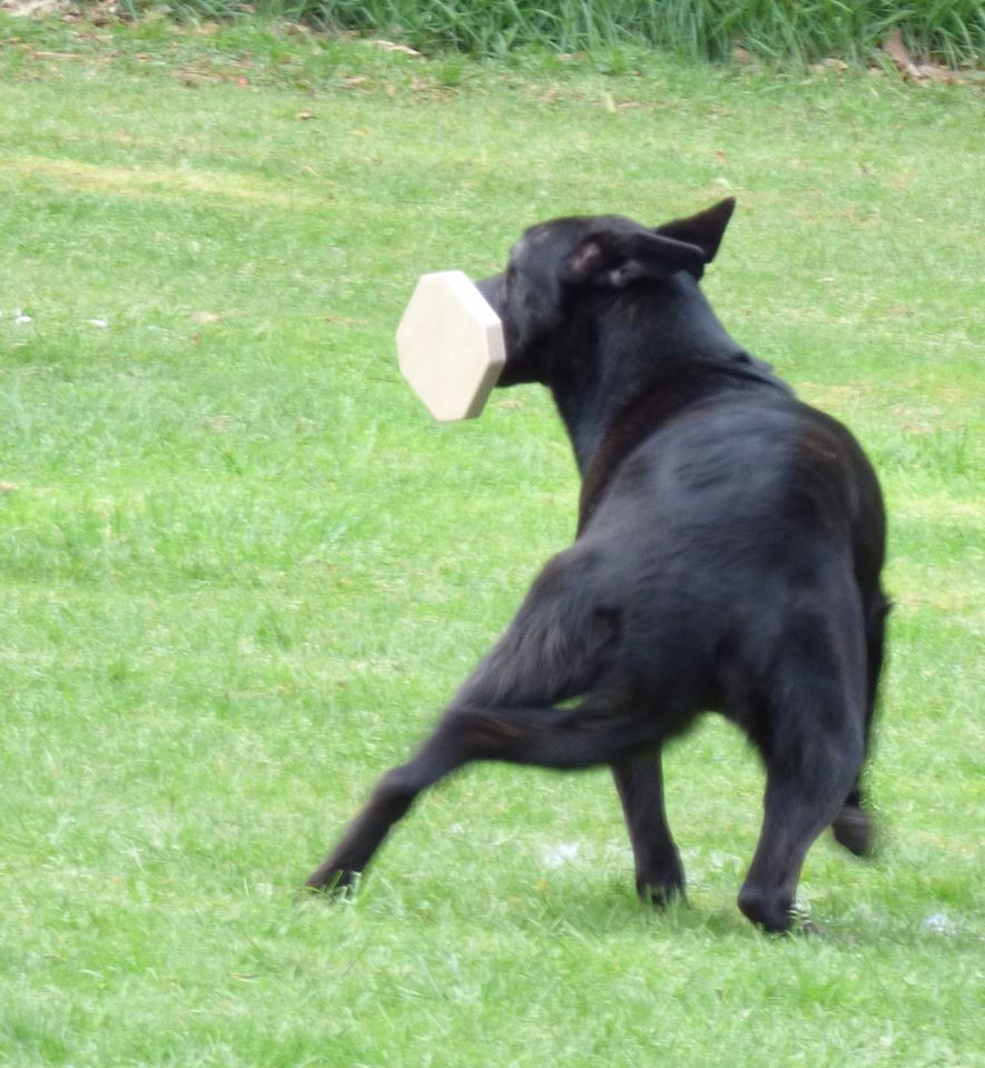 Mac Khalahann's H'avel