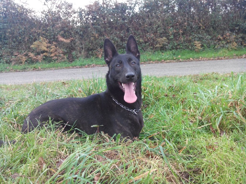 Mac Khalahann's H'avel