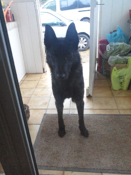 Info of Saint John's