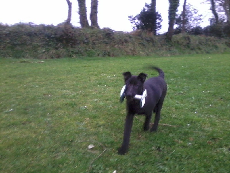 Mac Khalahann's H'avel