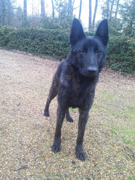 Info of Saint John's