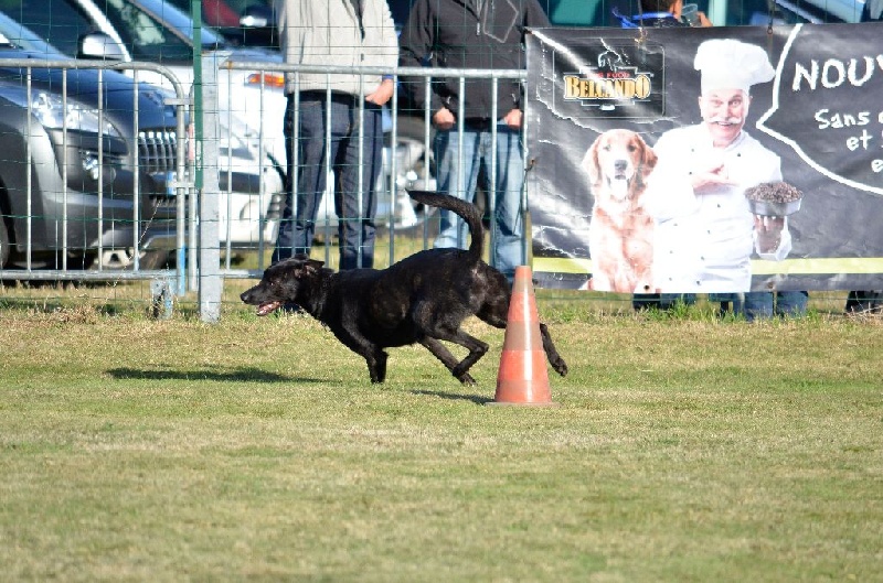 Mac Khalahann's H'avel