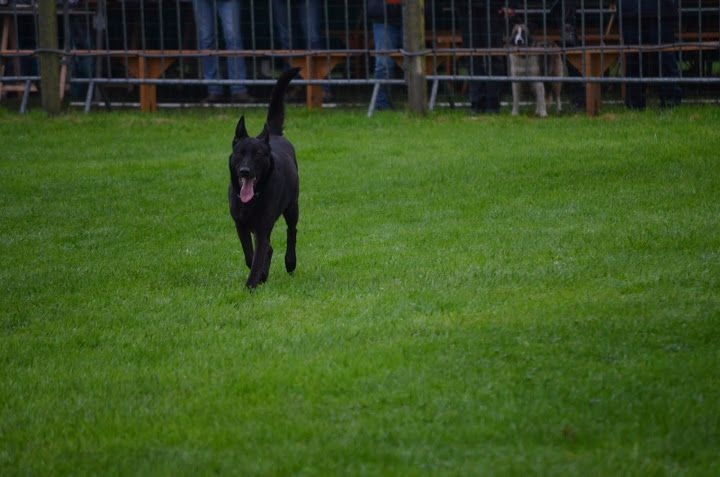 Mac Khalahann's H'avel