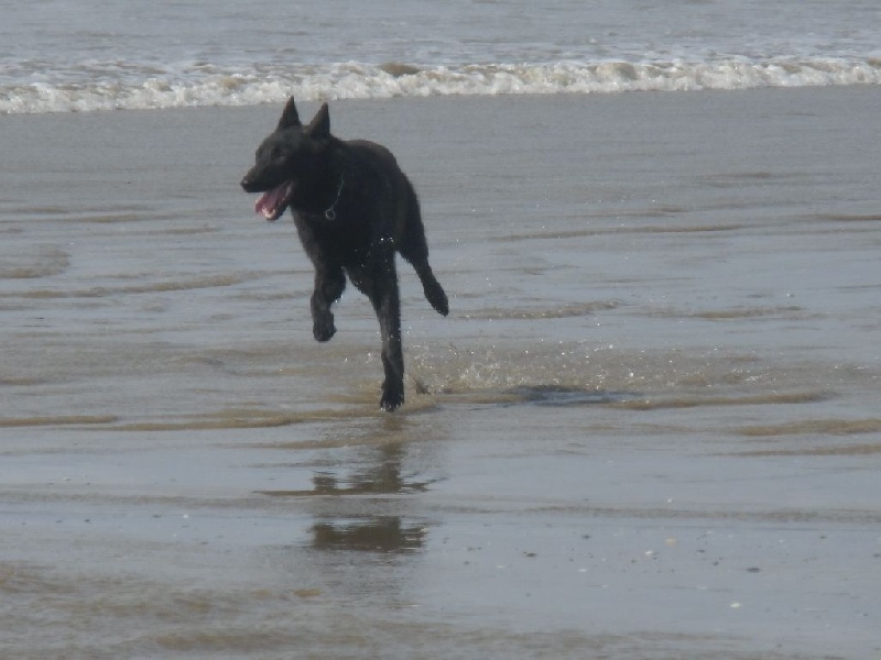 Info of Saint John's