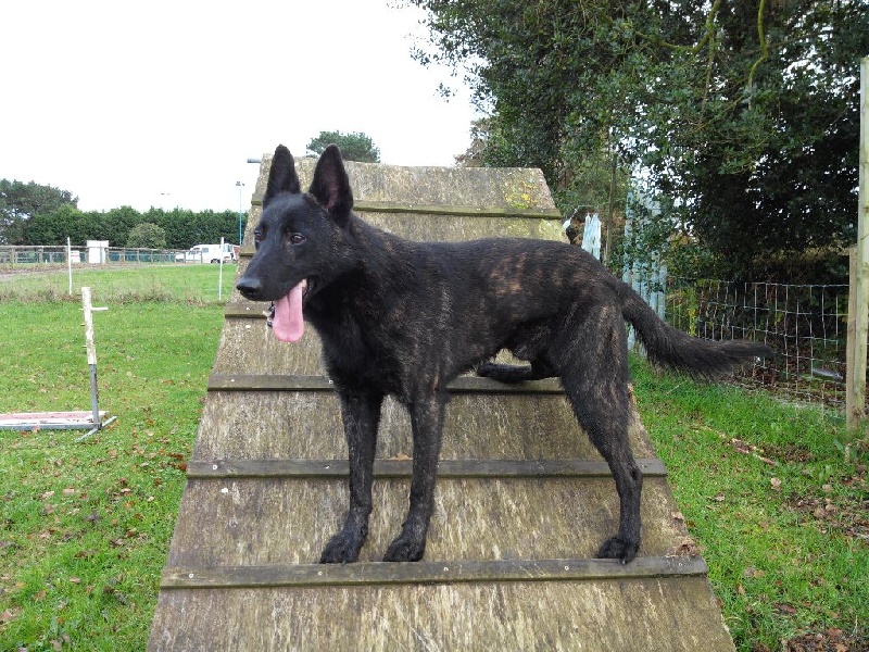 Info of Saint John's