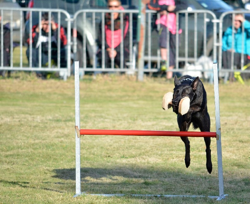 Mac Khalahann's H'avel