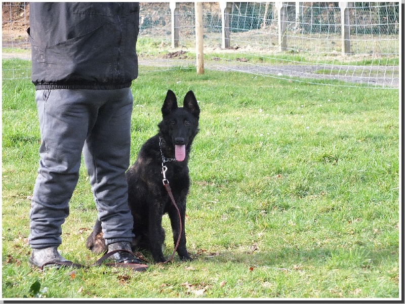 Info of Saint John's