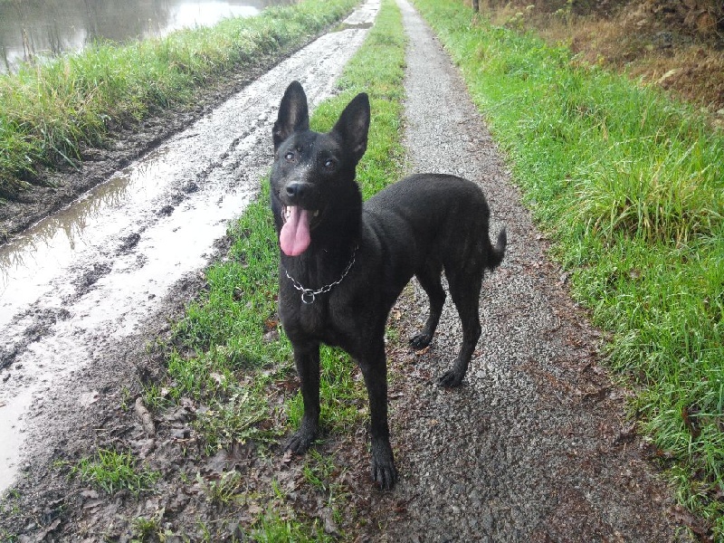 Mac Khalahann's H'avel