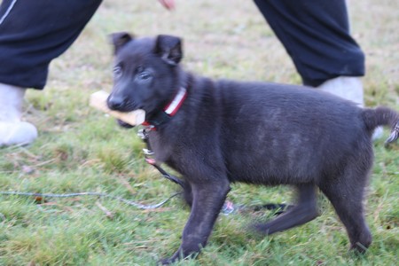 Mac Khalahann's H'avel