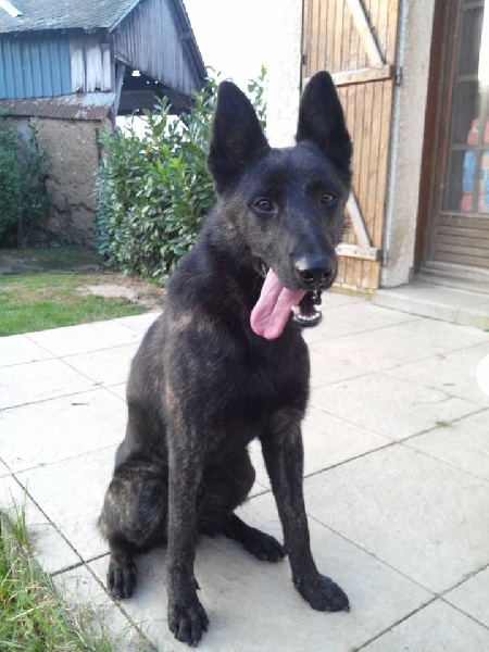 Info of Saint John's