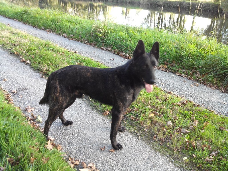 Info of Saint John's