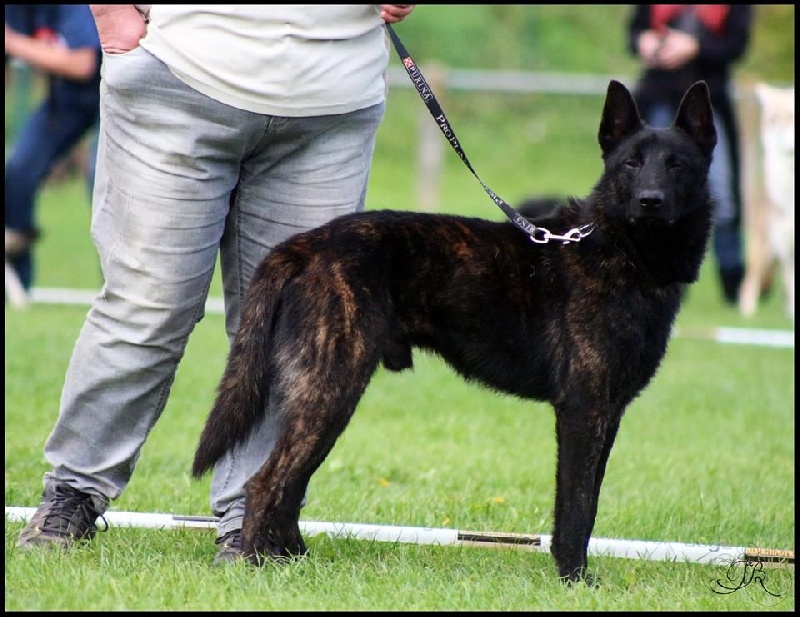 Info of Saint John's