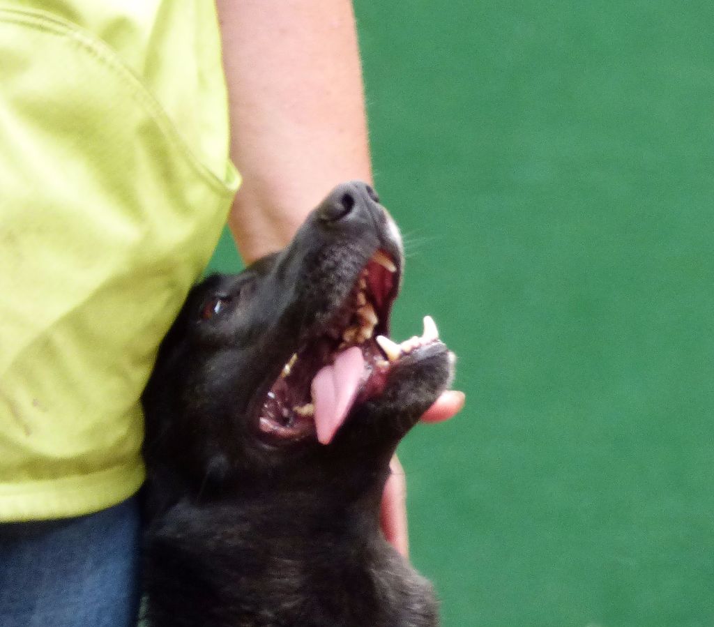 Mac Khalahann's H'avel