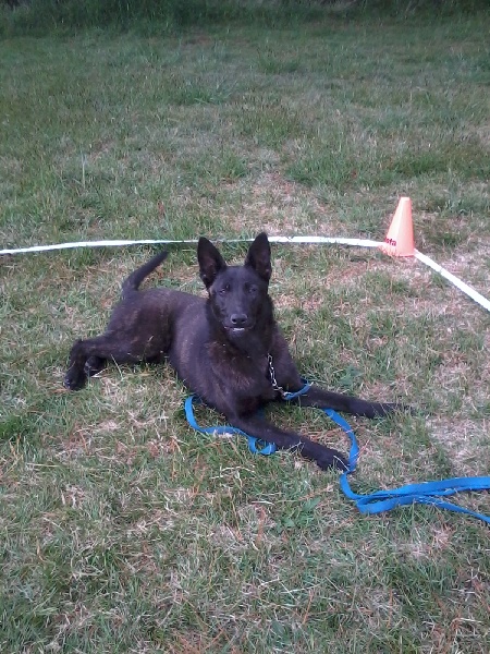 Mac Khalahann's H'avel