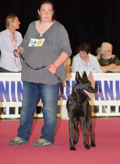 Info of Saint John's