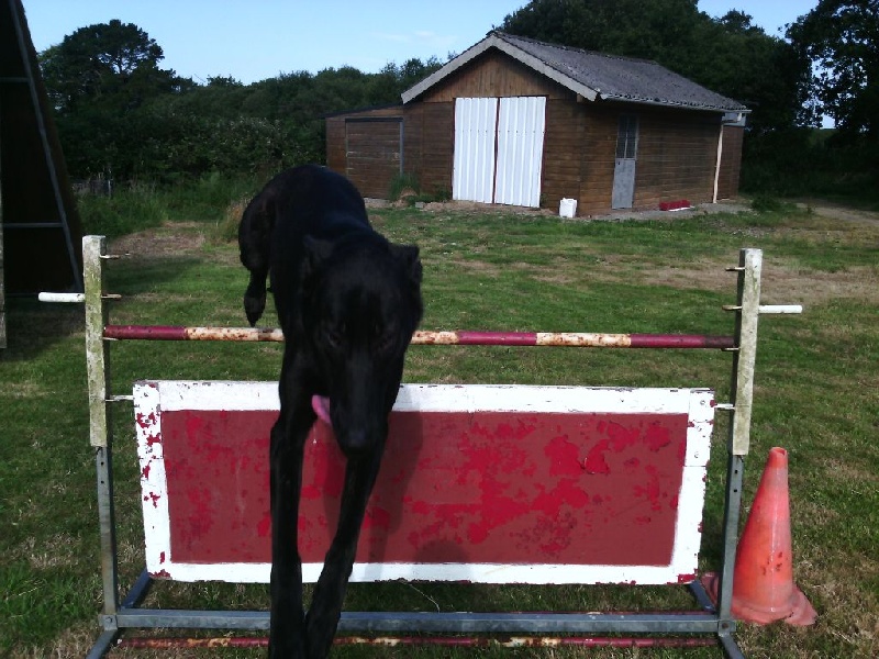 Mac Khalahann's H'avel