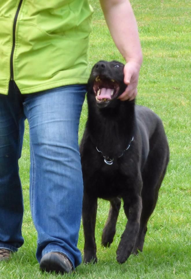 Mac Khalahann's H'avel