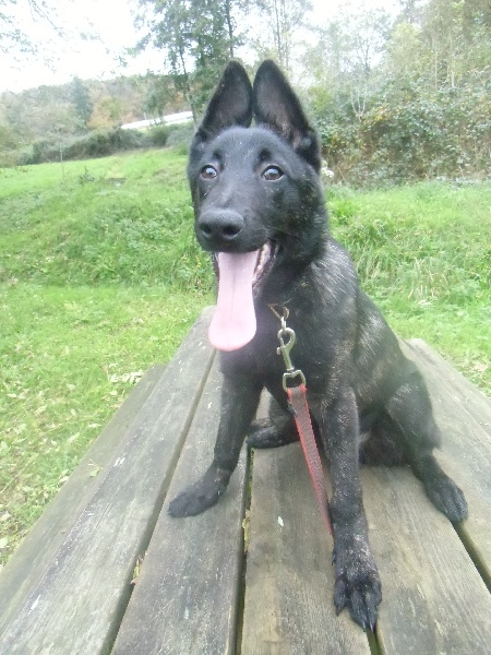 Info of Saint John's