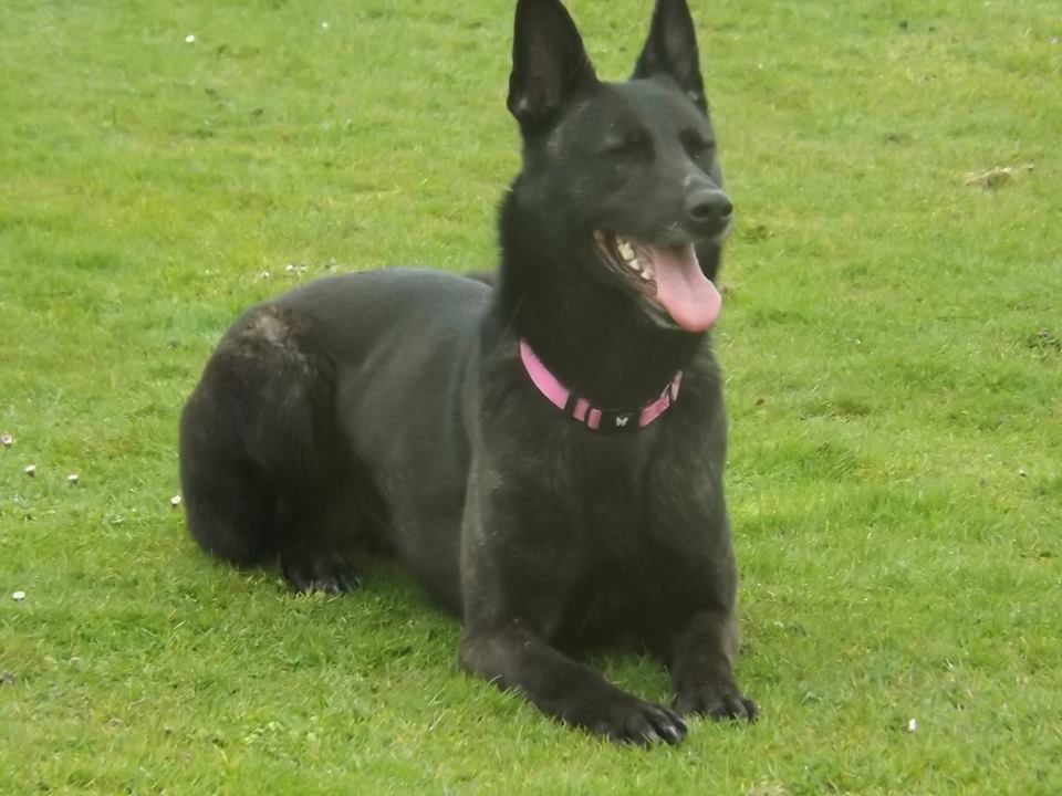 Mac Khalahann's H'avel