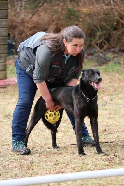 Mac Khalahann's H'avel