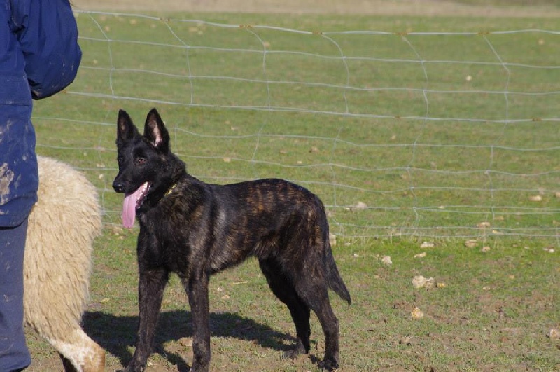 Info of Saint John's