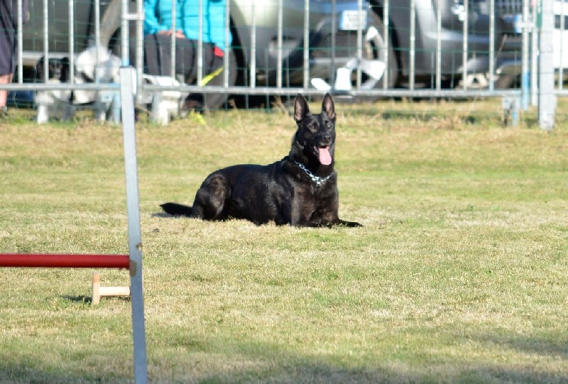 Mac Khalahann's H'avel