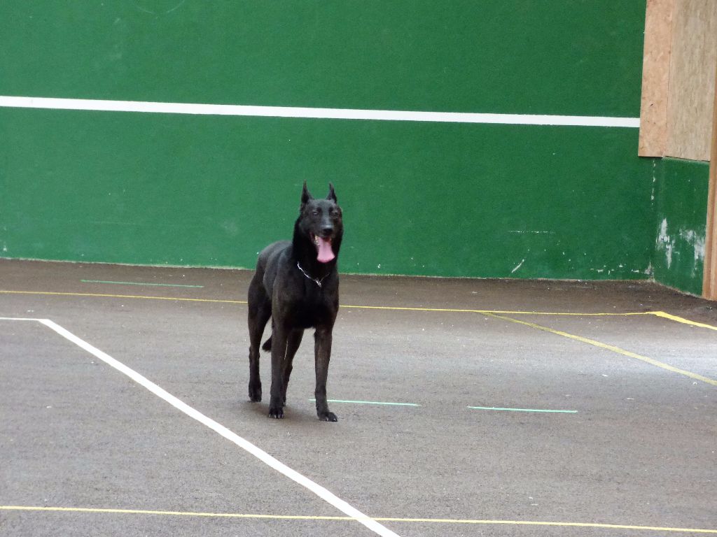 Mac Khalahann's H'avel