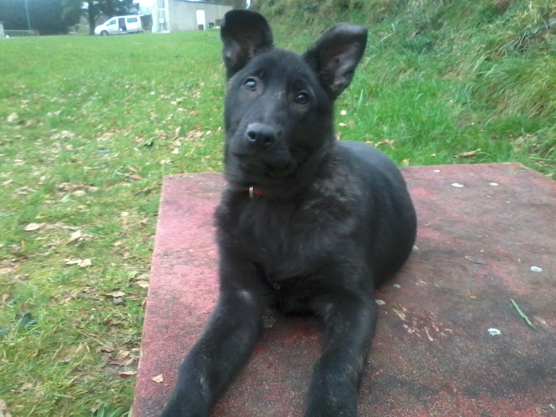 Mac Khalahann's H'avel