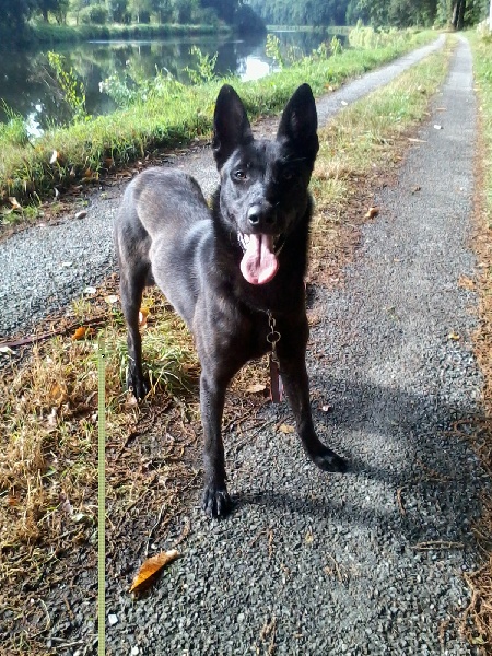 Mac Khalahann's H'avel