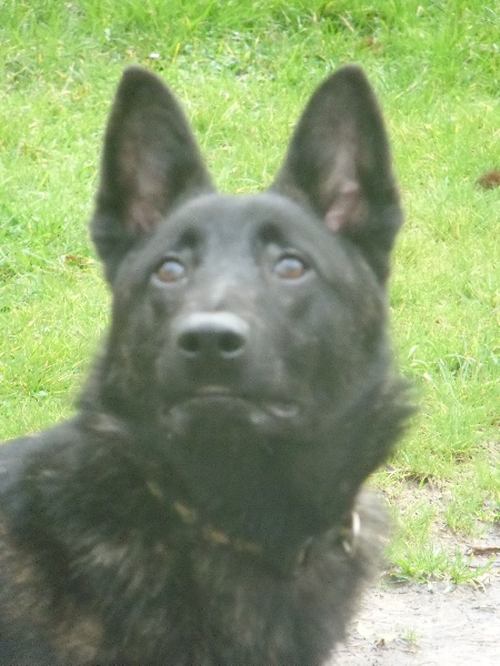 Info of Saint John's