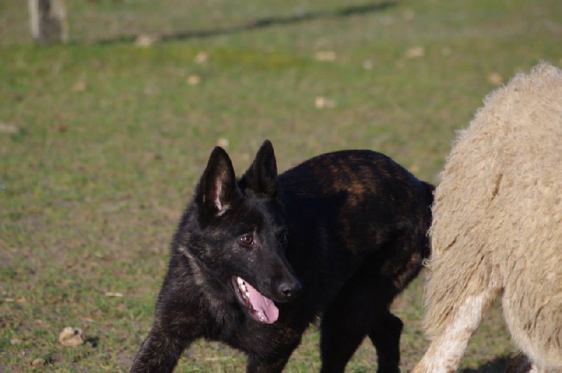 Info of Saint John's