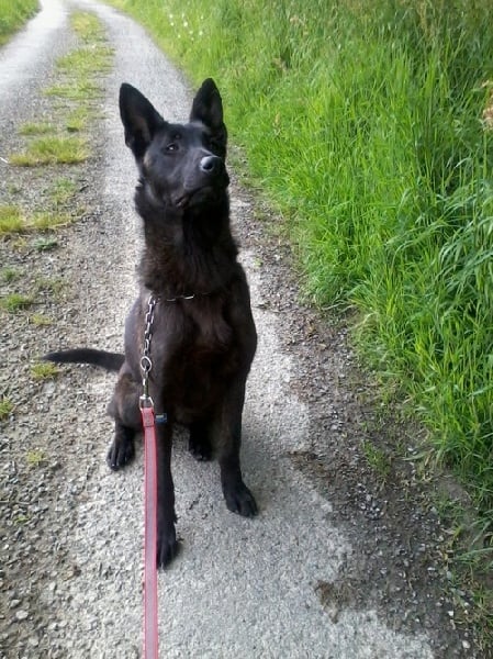 Mac Khalahann's H'avel