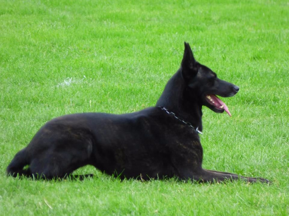 Mac Khalahann's H'avel