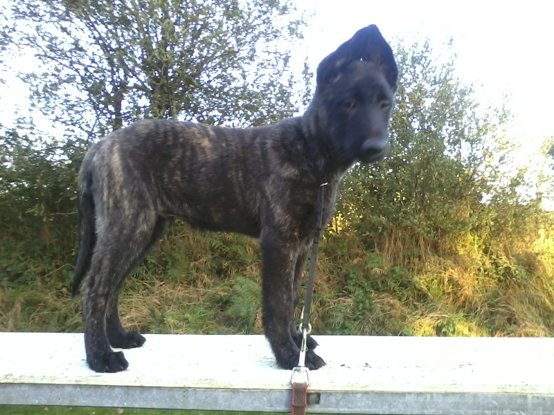 Info of Saint John's