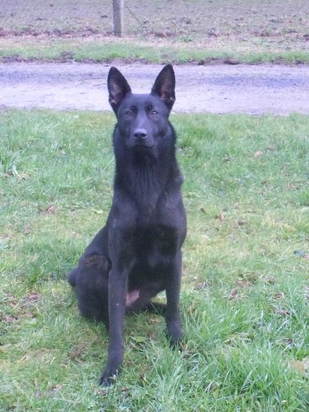 Mac Khalahann's H'avel