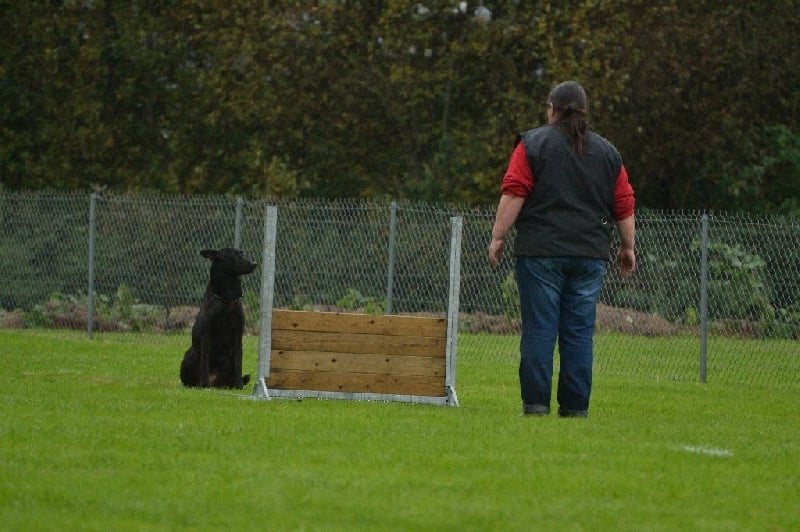 Mac Khalahann's H'avel