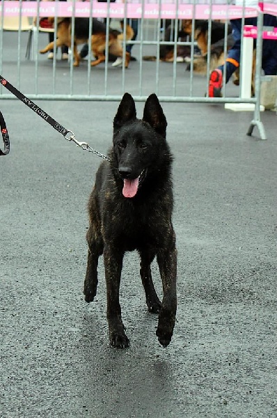 Info of Saint John's