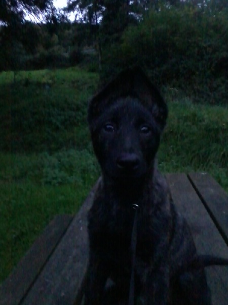 Info of Saint John's