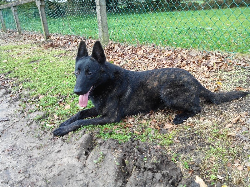 Info of Saint John's