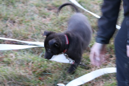 Mac Khalahann's H'avel