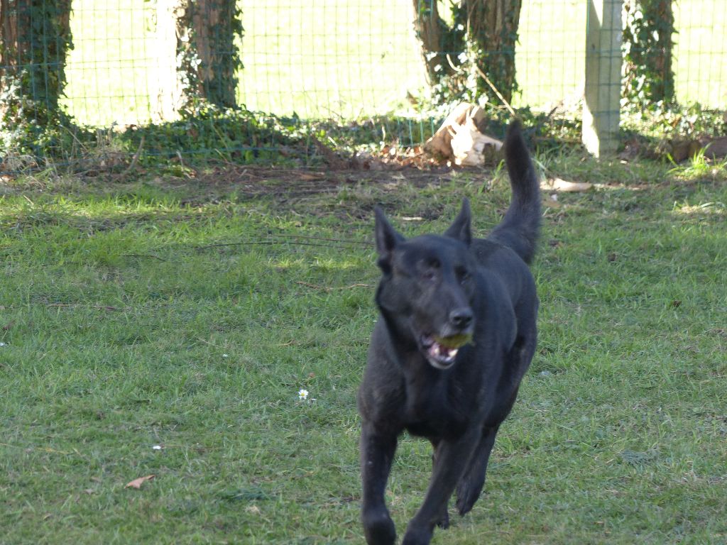 Mac Khalahann's H'avel