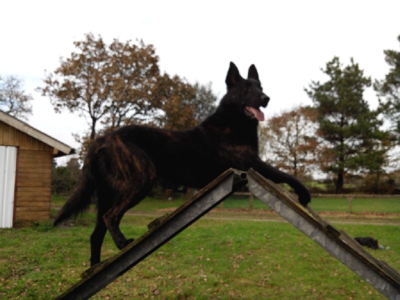 Info of Saint John's