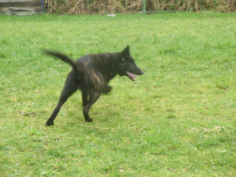 Info of Saint John's