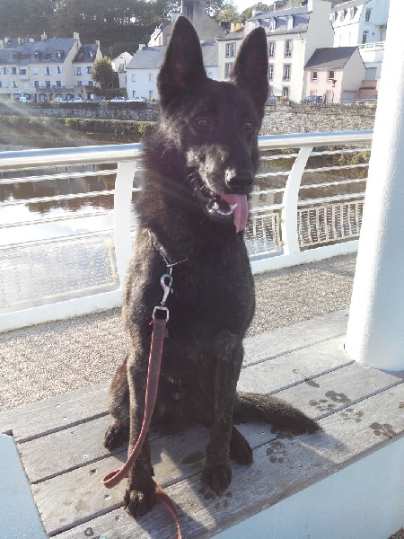 Info of Saint John's