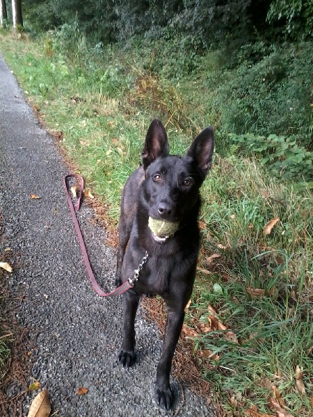 Mac Khalahann's H'avel