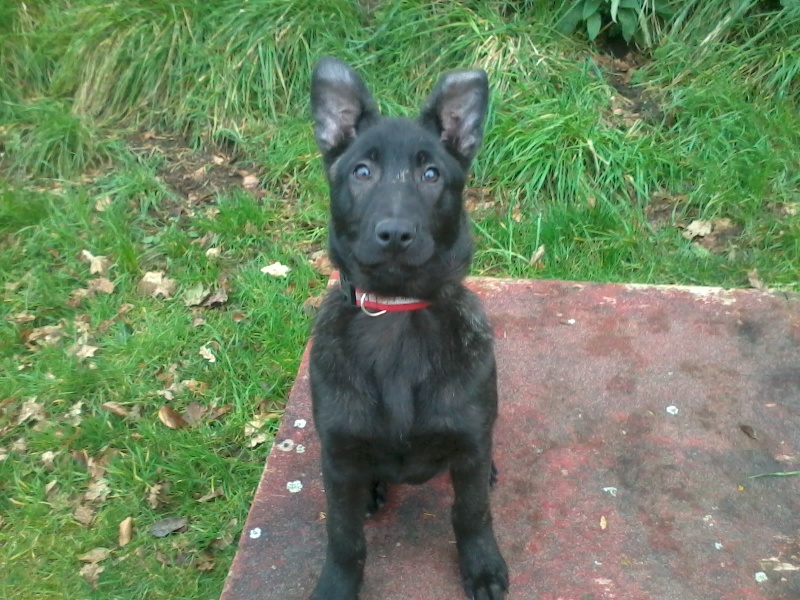 Mac Khalahann's H'avel